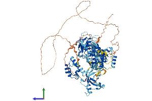 Protein Structure (PS) image for Scm-Like with Four Mbt Domains 1 (SFMBT1) (AA 1-866) protein (His tag) (ABIN7555576)