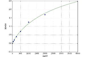 A typical standard curve