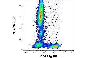 Flow cytometry surface staining pattern of human peripheral whole blood stained using anti-human CD172g (OX-119) PE antibody (10 μL reagent / 100 μL of peripheral whole blood). (SIRPG 抗体  (PE))