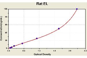 Diagramm of the ELISA kit to detect Rat ELwith the optical density on the x-axis and the concentration on the y-axis. (LIPG ELISA 试剂盒)