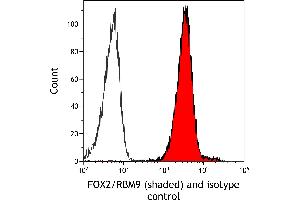 anti-RNA Binding Motif Protein 9 (RBM9) (AA 1-50) antibody