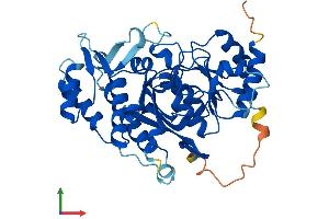 AlphaFold protein structure predicition of Mouse Recombinant Inpp1 Protein, UniprotID P49442