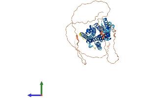Protein Structure (PS) image for Opsin 4 (OPN4) (AA 1-521) protein (His tag) (ABIN7561771)