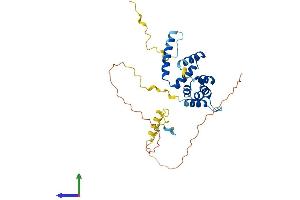 Protein Structure (PS) image for F-Box Protein 16 (FBXO16) (AA 1-292) protein (His tag) (ABIN7547715)