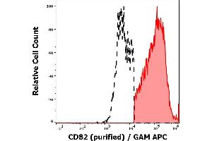 CD82 抗体