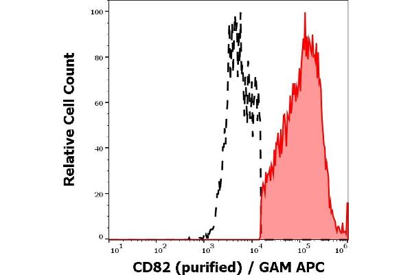 CD82 抗体