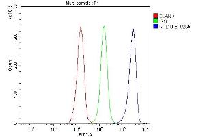 Flow Cytometry analysis of JK cells using anti-RPL10 antibody (ABIN7601177). (RPL10 抗体  (AA 3-214))