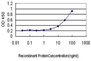 Detection limit for recombinant GST tagged GJB4 is approximately 3ng/ml as a capture antibody. (GJB4 抗体  (AA 1-266))