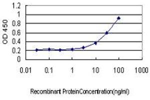 Detection limit for recombinant GST tagged GJB4 is approximately 3ng/ml as a capture antibody.