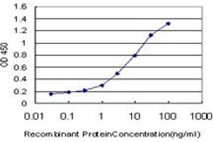 Detection limit for recombinant GST tagged SPP1 is approximately 0. (Osteopontin 抗体  (AA 1-300))