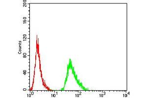 Flow cytometric analysis of MCF-7 cells using AMY1A mouse mAb (green) and negative control (red). (AMY1A 抗体  (AA 172-284))