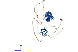 AlphaFold protein structure predicition of Human Recombinant BAIAP2L2 Protein, UniprotID Q6UXY1