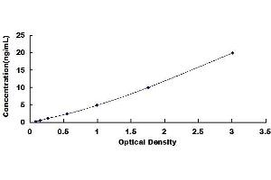 Typical standard curve (JNK2 ELISA 试剂盒)