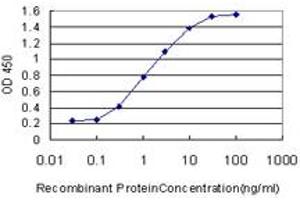 Detection limit for recombinant GST tagged USF1 is approximately 0. (USF1 抗体  (AA 1-110))