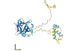 Protein Structure (PS) image for FSHD Region Gene 1 (FRG1) (AA 1-258) protein (His tag) (ABIN7547806)