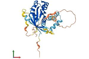 Protein Structure (PS) image for RAB40B, Member RAS Oncogene Family (RAB40B) (AA 1-278) protein (His tag) (ABIN7559928)