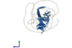 Protein Structure (PS) image for ArfGAP with SH3 Domain, Ankyrin Repeat and PH Domain 3 (ASAP3) (AA 1-903) protein (His tag) (ABIN7552448)