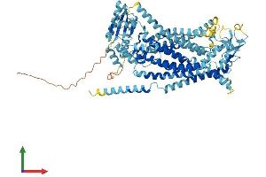 Protein Structure (PS) image for Anoctamin 9 (ANO9) (AA 1-747) protein (His tag) (ABIN7556764)