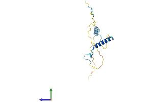 Protein Structure (PS) image for Purkinje Cell Protein 2 (PCP2) (AA 1-136) protein (His tag) (ABIN7550582)