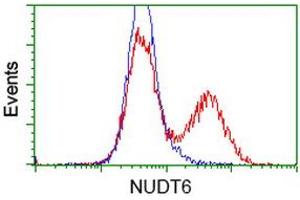 HEK293T cells transfected with either RC203470 overexpress plasmid (Red) or empty vector control plasmid (Blue) were immunostained by anti-NUDT6 antibody (ABIN2454163), and then analyzed by flow cytometry. (NUDT6 抗体)