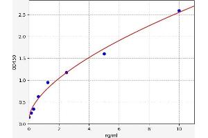 CDK6 ELISA 试剂盒