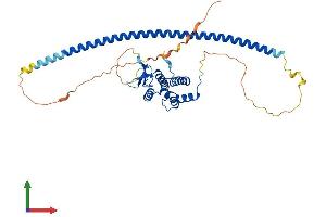 Protein Structure (PS) image for RAB3A Interacting Protein (Rabin3)-Like 1 (RAB3IL1) (AA 1-382) protein (His tag) (ABIN7551151)