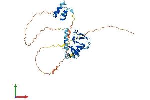 Protein Structure (PS) image for Developmental Pluripotency Associated 2 (DPPA2) (AA 1-298) protein (His tag) (ABIN7547126)