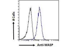ABIN185368 Flow cytometric analysis of paraformaldehyde fixed HepG2 cells (blue line), permeabilized with 0. (WASP 抗体  (Internal Region))