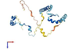 Protein FAM164B (ZC2HC1B) (AA 1-222) protein (His tag)