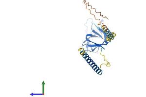 Protein Structure (PS) image for MIS18 Kinetochore Protein Homolog A (MIS18A) (AA 1-233) protein (His tag) (ABIN7549494)