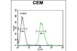 Flow Cytometry (FACS) image for anti-Tankyrase, TRF1-Interacting Ankyrin-Related ADP-Ribose Polymerase 2 (TNKS2) (AA 1126-1156), (C-Term) antibody (ABIN651506)
