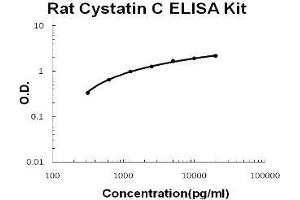 Rat Cystatin C PicoKine ELISA Kit standard curve (CST3 ELISA 试剂盒)
