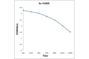 Antigen: 2 µg/100 µL  Primary: Antiserum, 1:500, 1:1000, 1:2000, 1:4000, 1:8000, 1:16000, 1:32000;  Secondary: HRP conjugated Rabbit Anti-Goat IgG at 1: 5000;  TMB staining Read the data in Microplate Reader by 450nm. (P2RY2 抗体  (AA 21-120))