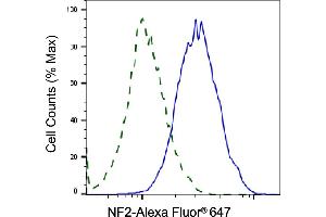 Validation of NF2 knockdown using flow cytometry. (Recombinant Merlin 抗体)