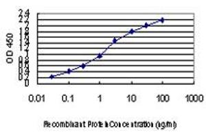 Detection limit for recombinant GST tagged AATK is approximately 0. (AATK 抗体  (AA 161-260))