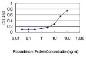 Detection limit for recombinant GST tagged RHOJ is approximately 1ng/ml as a capture antibody. (RHOJ 抗体  (AA 1-214))