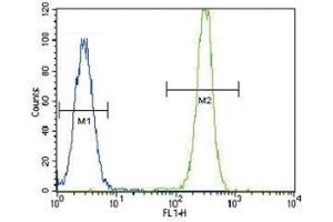 SMAD2 antibody flow cytometric analysis of HeLa cells (right histogram) compared to a negative control (left histogram). (SMAD2 抗体  (AA 97-125))