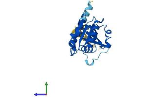 Protein Structure (PS) image for ADP-Ribosylation Factor-Like 15 (ARL15) (AA 1-204) protein (His tag) (ABIN7558576)