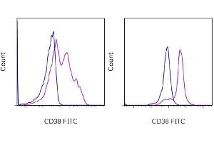 Flow Cytometry (FACS) image for anti-CD38 antibody (APC) (ABIN2144236) (CD38 抗体  (APC))