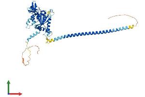 Protein Structure (PS) image for Septin 10 (SEPT10) (AA 1-454) protein (His tag) (ABIN7546075)