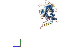 AlphaFold protein structure predicition of Mouse Recombinant Adra1a Protein, UniprotID P97718