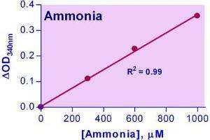 Biochemical Assay (BCA) image for Ammonia Assay Kit (ABIN1000323)