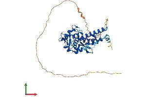 Protein Structure (PS) image for Melanoma Antigen Family A, 4 (MAGEA4) (AA 1-317) protein (His tag) (ABIN7549312)