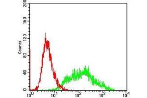 Flow cytometric analysis of SW620 cells using VIL1 mouse mAb (green) and negative control (red). (Villin 1 抗体  (AA 1-209))