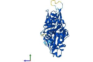 Protein Structure (PS) image for Actin, beta (ACTB) (AA 1-375) protein (His tag) (ABIN7551947)