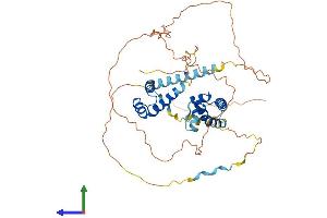 Protein Structure (PS) image for POU Class 3 Homeobox 2 (POU3F2) (AA 1-445) protein (His tag) (ABIN7563115)