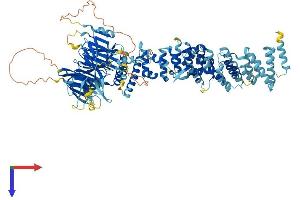 HPS3 Protein (AA 1-1002) (His tag)