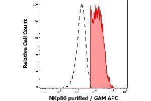 Separation of human NKp80 positive cells (red-filled) from human NKp80 negative lymphocytes (black-dashed) in flow cytometry analysis (surface staining) of peripheral whole blood stained using anti-human NKp80 (5D12) purified antibody (concentration in sample 1,7 μg/mL, GAM APC). (KLRF1 抗体  (Extracellular Domain))