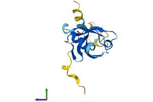 Protein Structure (PS) image for PDZ Domain Containing 11 (PDZD11) (AA 1-140) protein (His tag) (ABIN7550704)