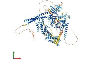 Protein Structure (PS) image for Ubiquitin Specific Peptidase 28 (USP28) (AA 1-1077) protein (His tag) (ABIN7555949)